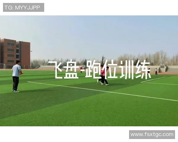 飞盘战术解析：北京飞盘队如何实现中路突破的秘密与技巧